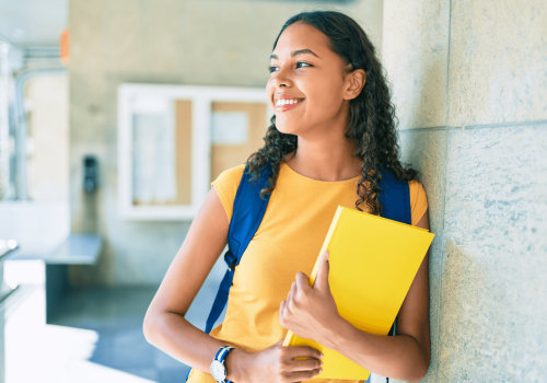 Strategies for Retaining Information in Law Tutoring